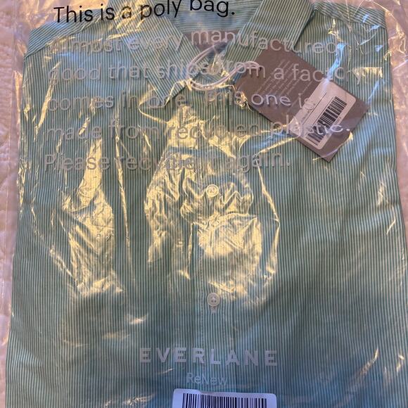 Everlane The Silky Cotton Relaxed Shirt Pinstripe Mint Green Size 0 NWT - Picture 8 of 11